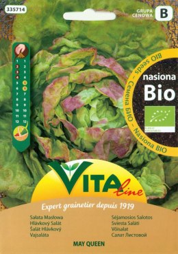 BIO Butter Lettuce Seeds 0,5g